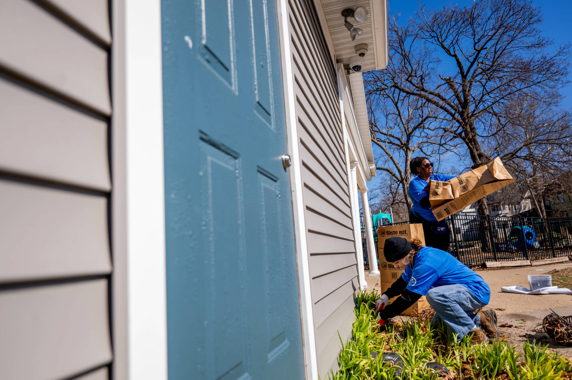 removing dead leaves and plants